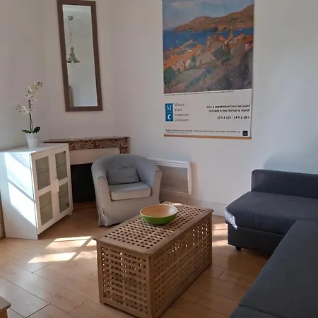 Spacious In The Centre Apartment Perpignan