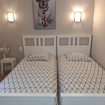 Apartment Spacious In The Centre Perpignan